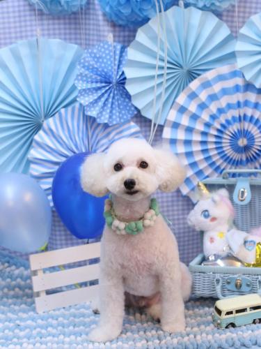 20231124ちくわくん